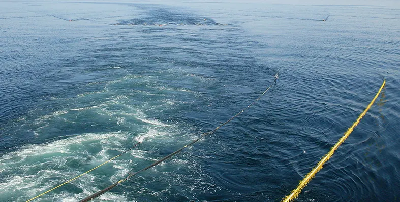 Image_of_Bouri_development 