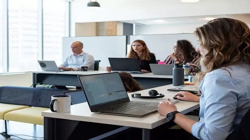 workers sitting before desktops 