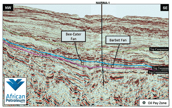 Narina oil discovery, seismic cross-section