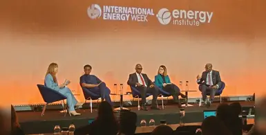 Image_of_Africa_panel
