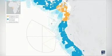 Image_of_MegaSurvey