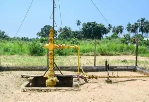 12210653136 6fdbaf4a8c z