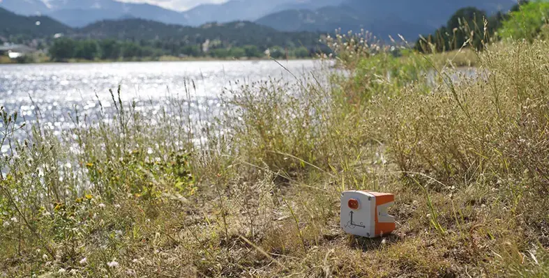 Image_of_Sercel_Wing_DFU3C