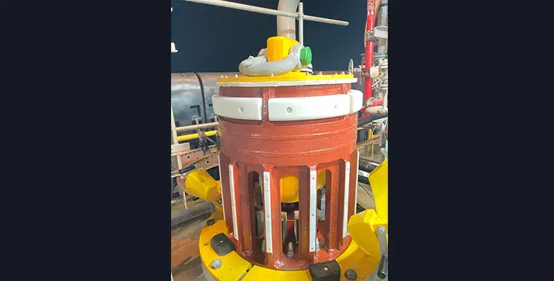 Image_of_AIS_Bardot_riser_lines_for_Kaminho_project