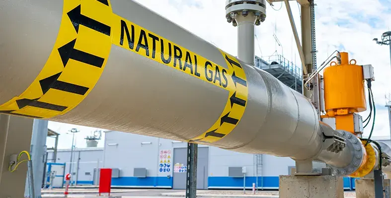 Image_of_South_Africa_LNG_import_from_US 