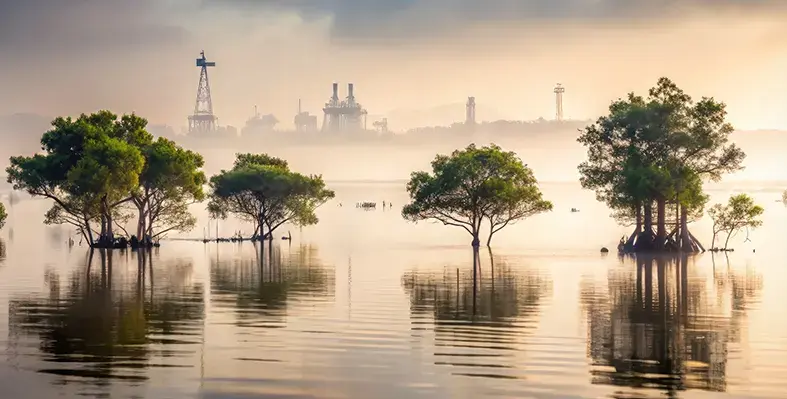 Niger_Delta_Nigeria_Africa_Oil_wells_rigs