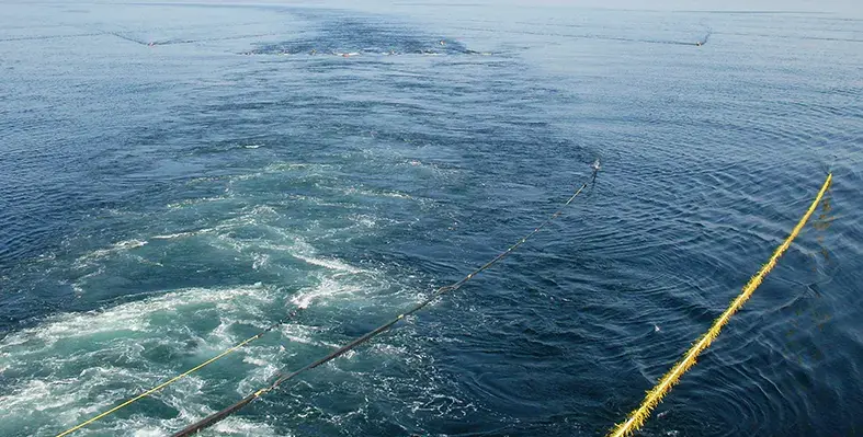 Image_of_Bouri_development 