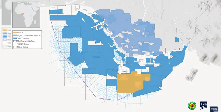 Image_of_eastern_Niger_Delta_survey 