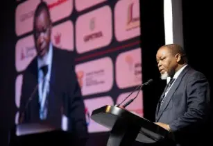 48907858501 e99d440021 c