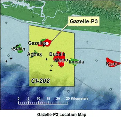 Rialto_Energy_gazelle_p3